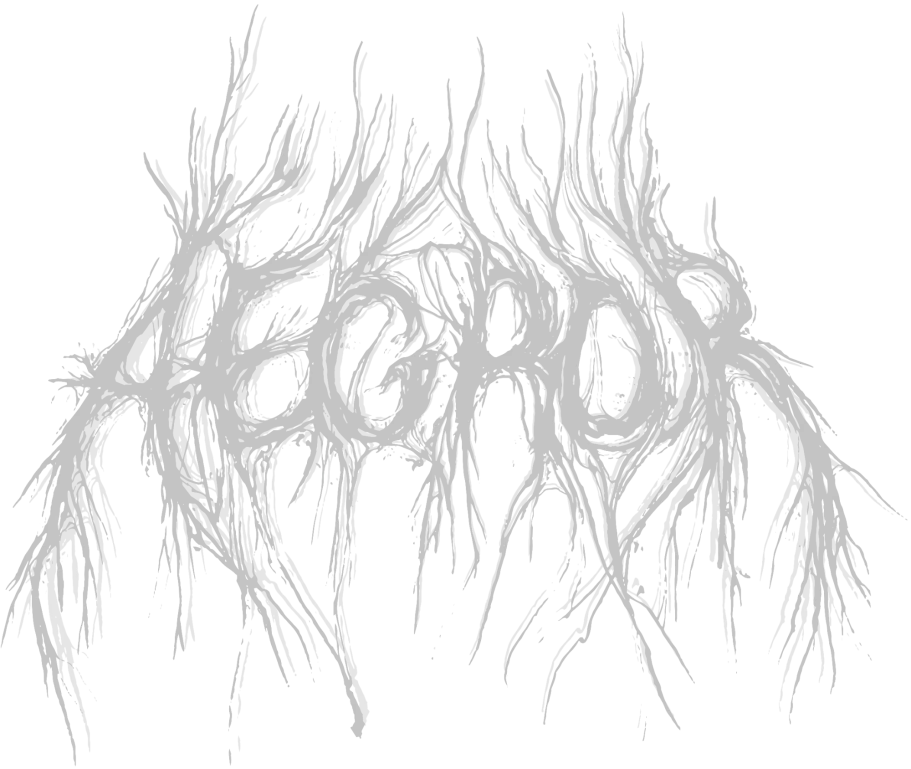 Aegror Logo